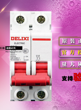 原装正品德力西小型断路器 DZ47SN2C5 DZ47s 2P C5A 6KA空气开关