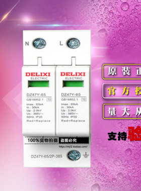 原装德力西电气二极电涌保护器DZ47Y652 DZ47Y-65/2P-385 防雷器