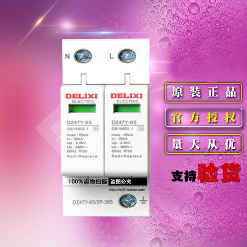 原装德力西电气二极电涌保护器DZ47Y652 DZ47Y-65/2P-385 防雷器