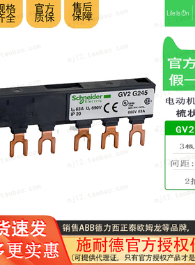 原装施耐德梳状母排 GV2G245 GV2-G245 3极63A母排2抽头 间距45mm