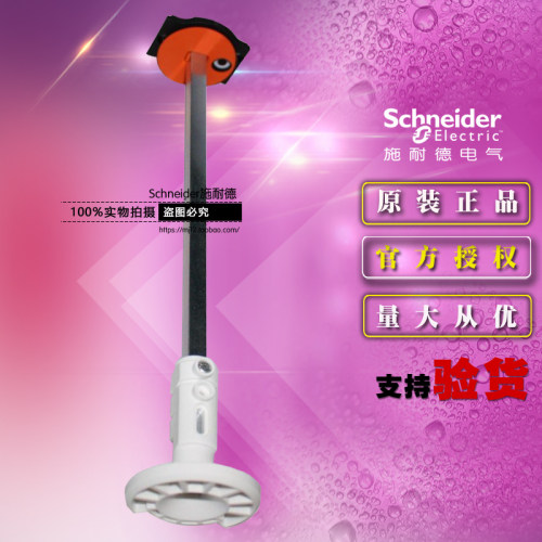 原装施耐德Vario负荷开关延伸轴 VZ18C 带零位延长杆锁止附件长轴