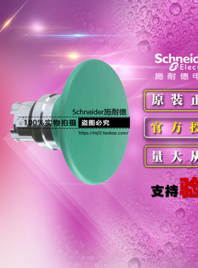 施耐德按钮开关操作头ZB4BR3 22绿色蘑菇头60mm ZB4-BR3原装