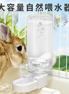 刺星球不漏水500ml兔兔水壶