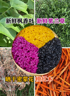 广西五色糯米饭植物染料枫香叶红蓝草三月三清明节黄饭花黑橙紫黄