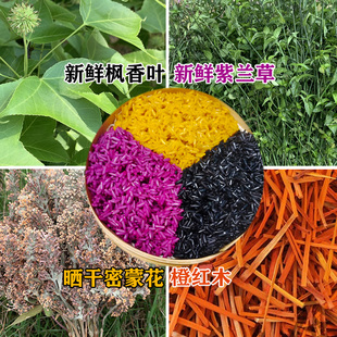 广西五色糯米饭植物染料枫香叶红蓝草三月三清明节黄饭花黑橙紫黄