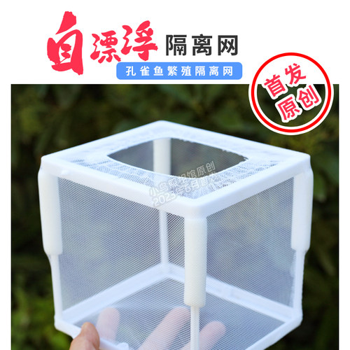 自漂浮不脱落缸内分离网孔雀鱼