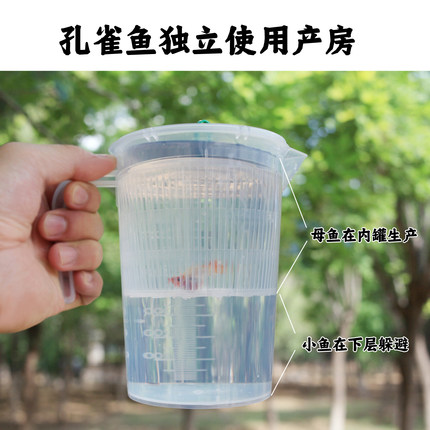 孔雀鱼独立外置繁殖杯生小鱼隔离盒产房单独分离母鱼保护生小鱼苗