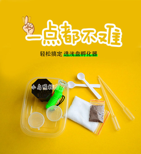 丰年虾孵化简易好操作卵生鱼开口