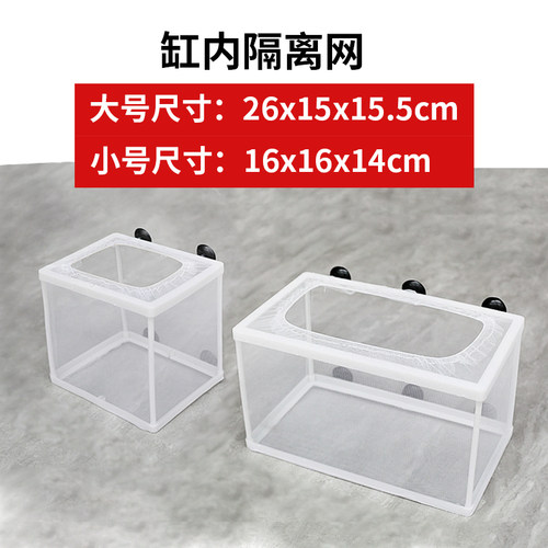 缸内繁殖隔离鱼苗保护小鱼苗鱼卵