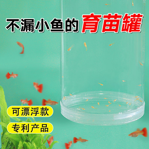 漂浮繁殖罐隔离盒孵化器孔雀鱼