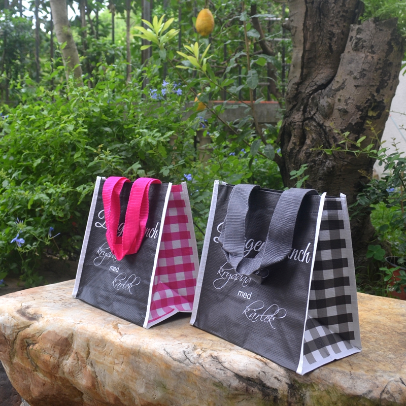 外贸出口便携防水时尚礼品袋手提袋子小号环保购物袋便当袋饭盒袋