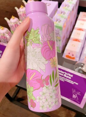 T2澳洲代购直邮Stainless Steel Flask Black不锈钢保温杯 500ml