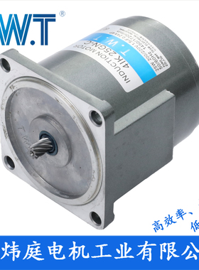 TWT电机 25W齿轮减速电机4IK25GN-C 4IK25A-C台湾东炜庭电机
