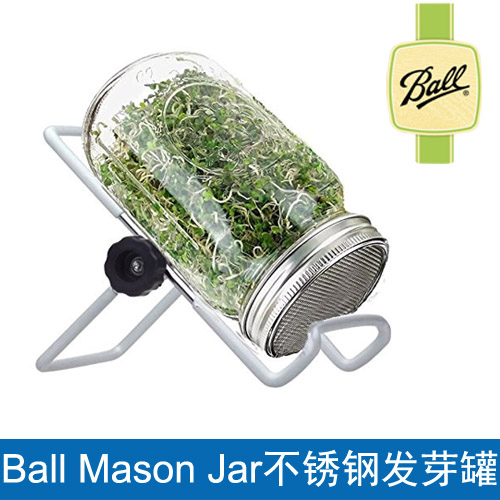 美國進口Ball Mason Jar發芽罐梅森發芽罐種子發芽網蓋罐梅森瓶