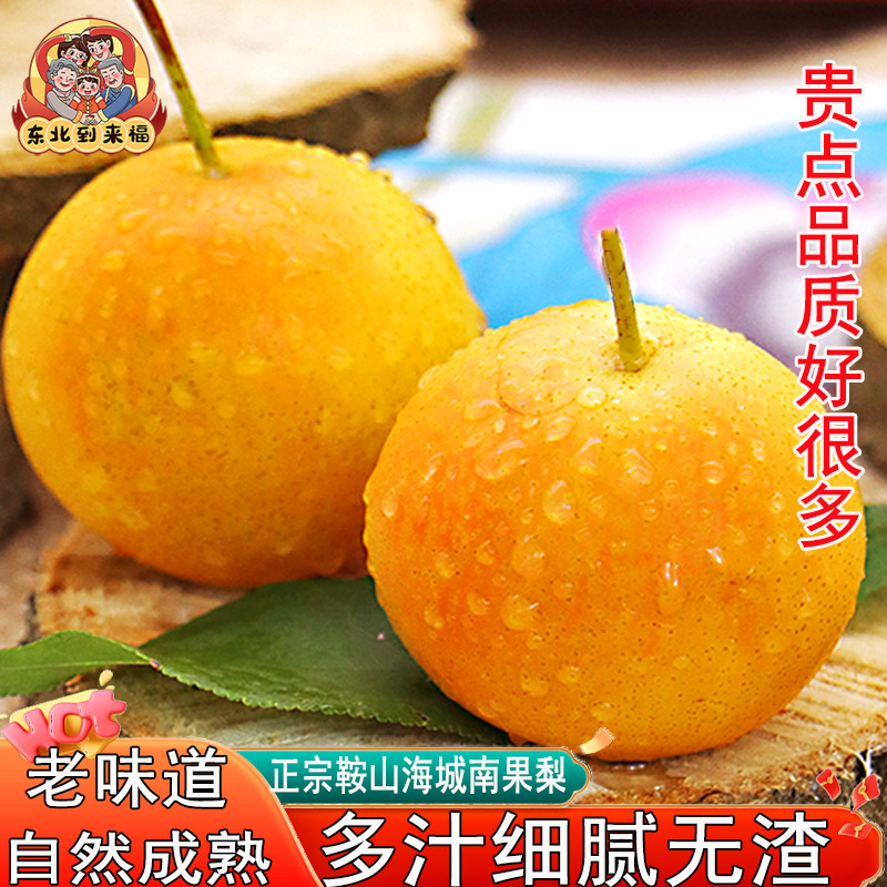 到来福南果梨细肉多汁南国梨