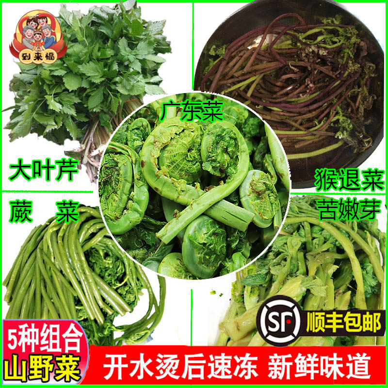 东北速冻山野菜5种组合顺丰包邮