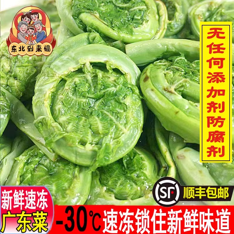 速冻山野菜广东菜黄瓜香顺丰包邮