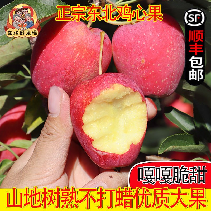 东北鸡心果山地小苹果锦绣海棠果新鲜水果应季现摘现发沙果特产