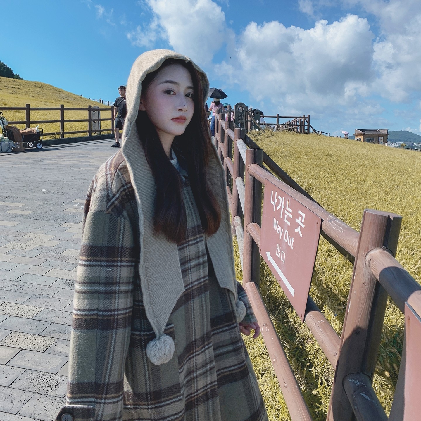 2025冬季新款学院风复古格子翻领呢子大衣女设计感超好看毛呢外套,女装毛呢外套,2C077