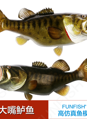 高仿真鱼模 鱼模型 FUNFISH 立体仿真 鱼工艺品 装饰品 鲈鱼