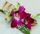 鲜花速递蝴蝶兰胸花嘉宾磁铁别针贵宾胸花会议庆典开业用花