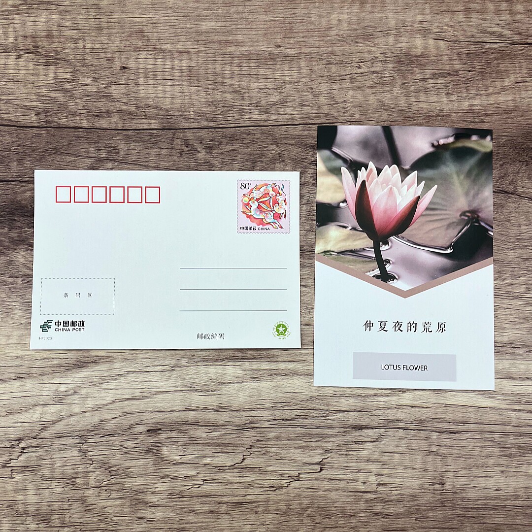 国风12生肖兔80分邮资明信片背面加印荷花莲花明信片 邮政正品