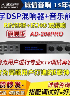 天逸AD-208 PRO专业家庭KTV混响前级效果器音响升级唱歌k歌卡拉OK