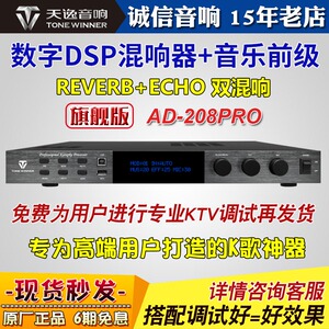 天逸AD-208 PRO专业家庭KTV混响前级效果器音响升级唱歌k歌卡拉OK