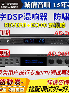 Winner/天逸混响器专业家用k歌卡拉ok机前级308效果器208PRO防叫