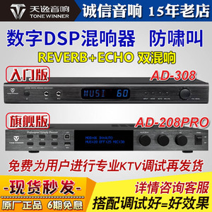 Winner/天逸 AD-208升级版混响器专业家用k歌卡拉ok机前级效果器