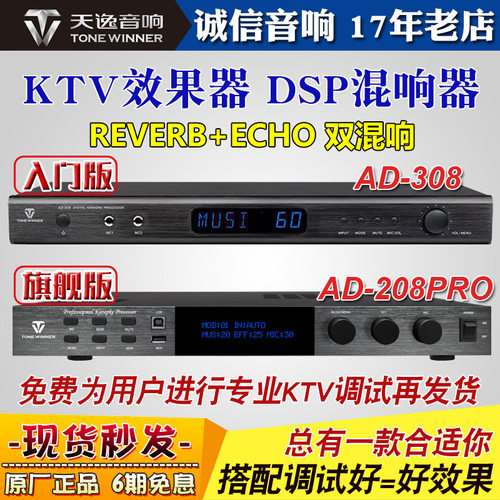 天逸混响器防啸叫家用K歌话筒机