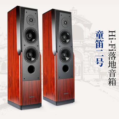 Winner/天逸 TD-2 童笛二号 HIFI发烧家庭影院AV音箱5.1声道 正品