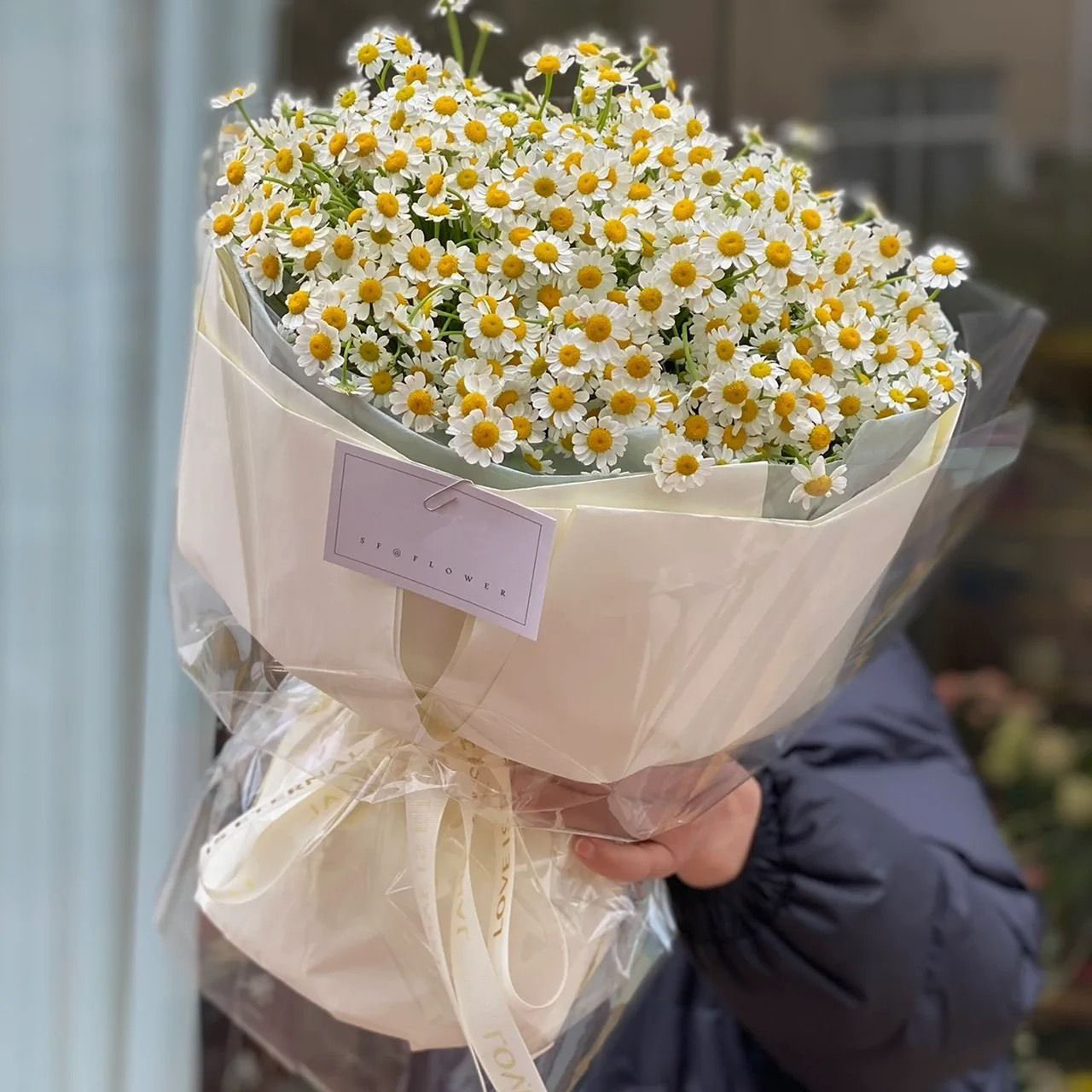 昆明同城送花昆明鲜花速递 30公分洋甘菊花束 清新初恋