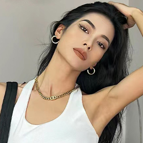 CIZZLEMORE 猪鼻子钛钢古巴项链女款轻奢小众金色锁骨链毛衣链