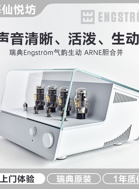 瑞典Engström/气韵生动 ARNE 发烧级胆机功放hifi电子管合并胆机