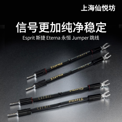 法国原装ESPRIT斯捷  Eterna永恒Jumper  发烧级hifi功放音箱跳线