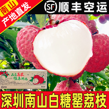 深圳南山荔枝新鲜荔枝白糖罂5斤顺丰当季水果现摘现发老树荔枝