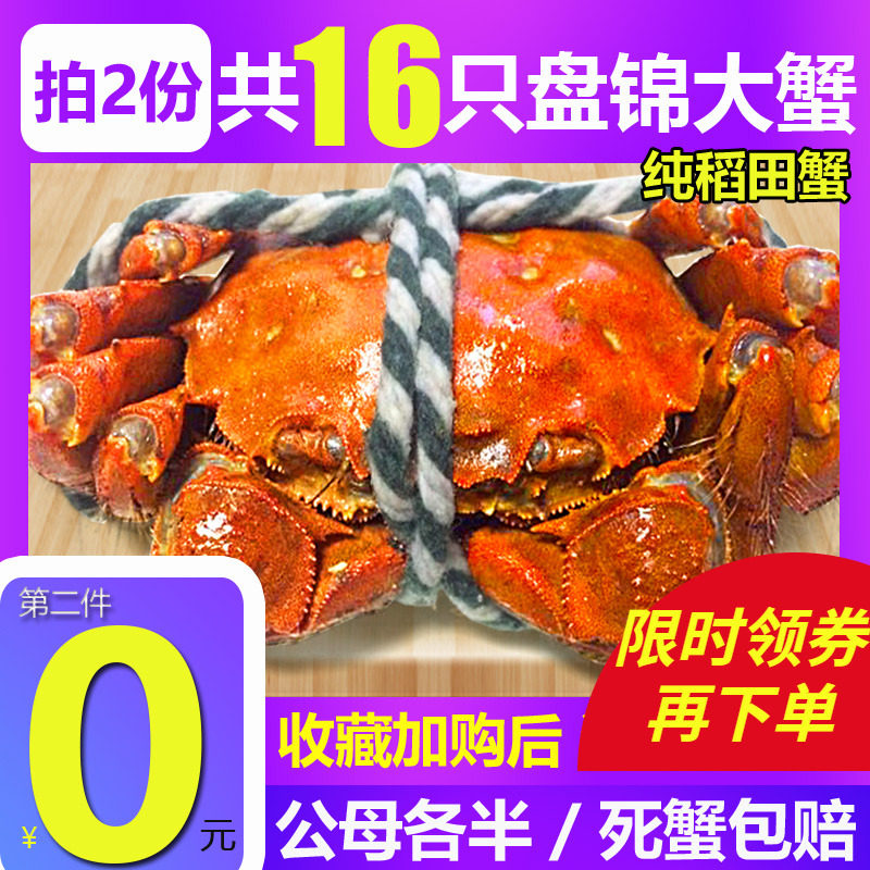 [Second copies, 0 yuan]common 16 Panjin Crab Fresh Crabs June Yellow. complete works of Crab Freshin the Aquatic meat/Fresh fruits and vegetables/Cooked , Seafood/Aquatic/Product , Crabs , Crabs  category - from Buy2taobao.com to provide professional Taobao agent buy service