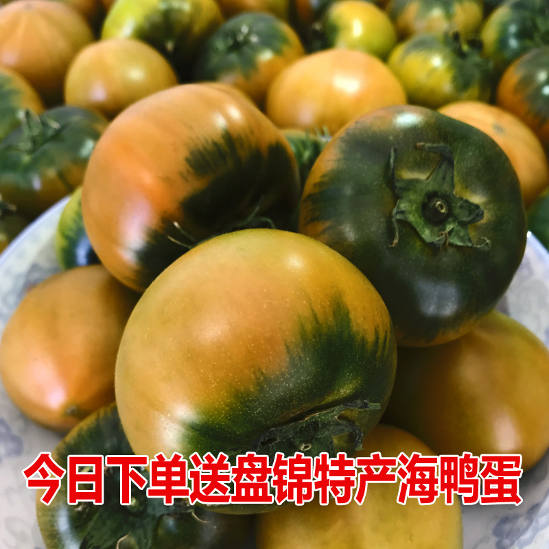 正宗盘锦碱地柿子丹东铁皮番茄绿腚鹰爪草莓西红柿油柿子3斤装|msdalam kategori daging perikanan/Buah-buahan segar dan sayur-sayuran/dimasak, buah-buahan segar, kesemak - dari Buy2taobao.com untuk memberikan perkhidmatan ejen Taobao profesional membeli