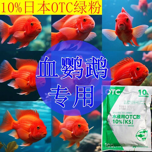 血鹦鹉专用原装日本进口正品OTC绿粉水霉杀菌鱼药万能疾病治疗