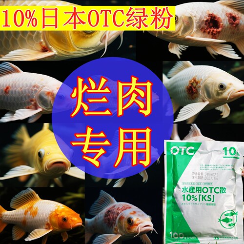 烂肉专用原装日本进口正品OTC绿粉锦鲤龙鱼药热带鱼白毛水霉杀菌