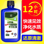 鱼缸净水剂水立清水质清澈剂澄清专用杀菌净化必定特清水剂清洁剂