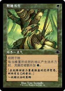 【莎莎的小窝】万智牌 多明重 老框英文平 dmr 野地丛生