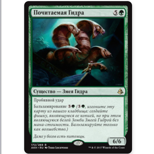 【莎莎的小窝】MTG 万智牌 赐耀多头龙 俄文 阿芒凯 绿 金