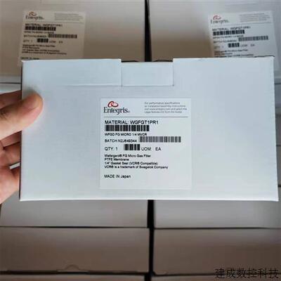 议价Entegris/英特格过滤器WGFGT1PR1 全新现货