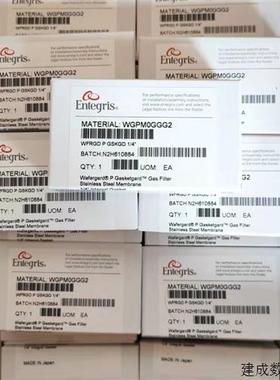 议价美国Entegris英特格气体过滤器WGPM0GGT2 WGPMOGGT2 原装现货