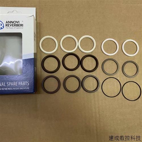 议价意大利ANNOVI REVERBERI AR柱塞泵 水封 单向阀RTX 70.150