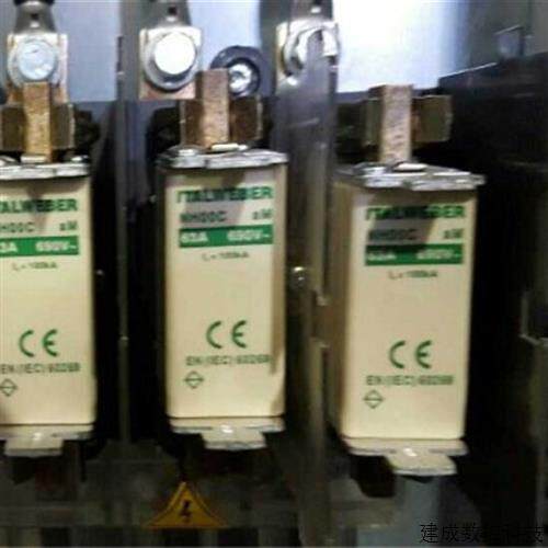 议价ITALWEBER品牌   NH00C  63A 690V   EN  (IEC)60269 熔断器