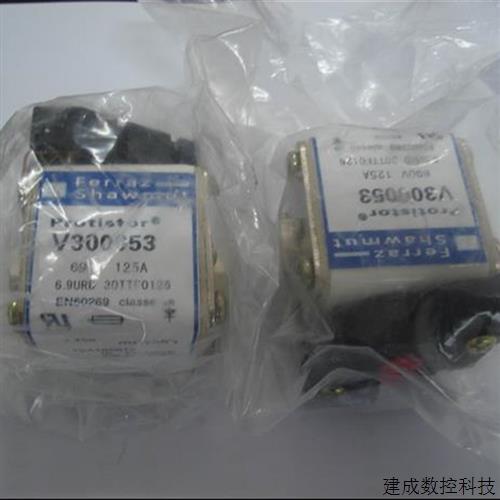 议价Ferraz Shawmut熔断器 V300053 125A 690V AC (6.9URD30TTF01
