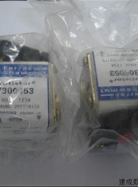 议价Ferraz Shawmut熔断器 V300053 125A 690V AC (6.9URD30TTF01